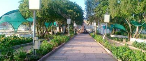 Nagina Wadi